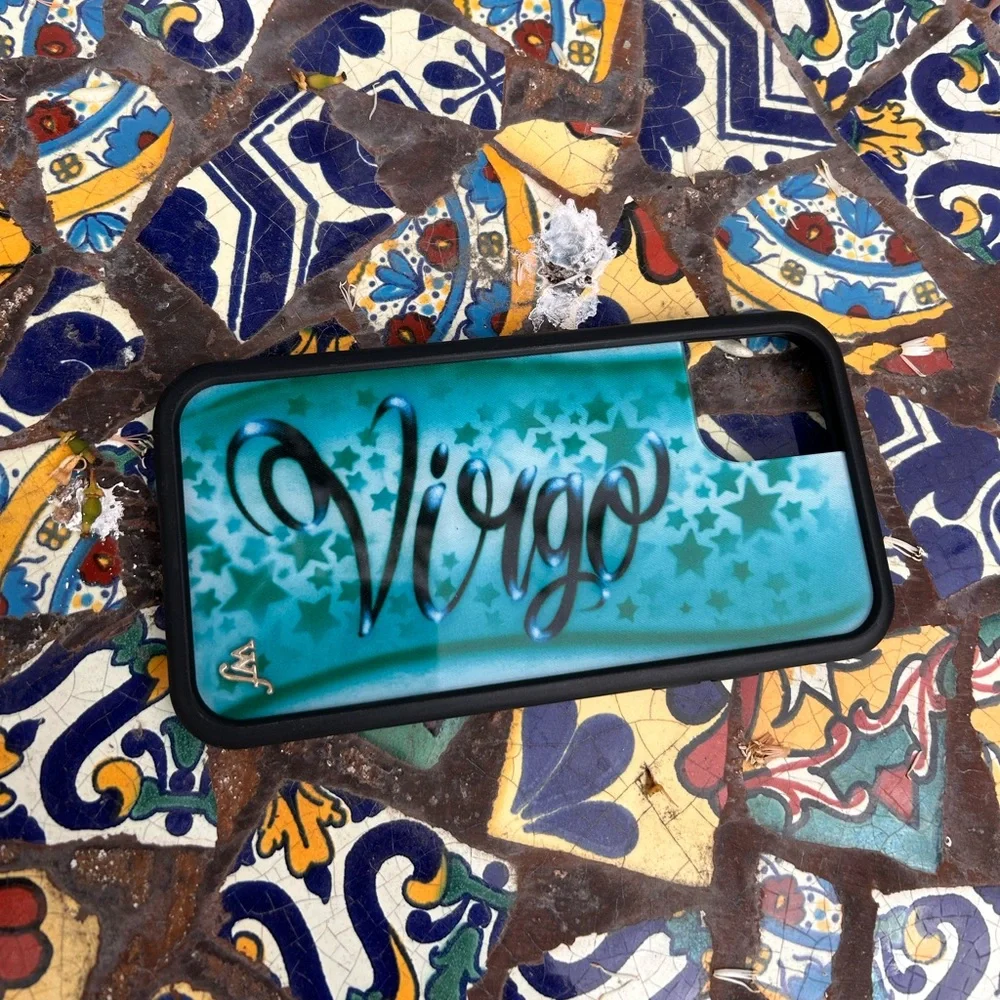 Bundle of 4 Wildfox iPhone Cases